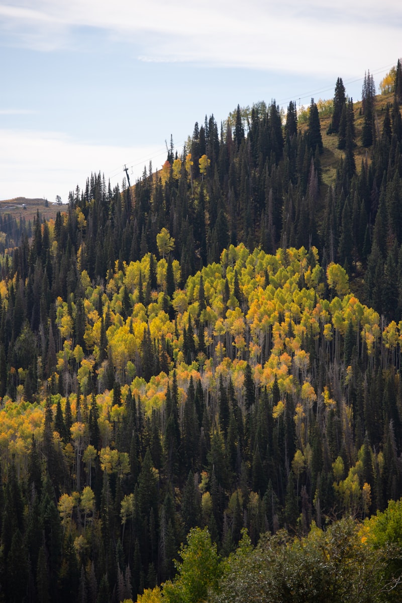 Fall in Park City: Why Autumn Might Be the Best Season to Visit