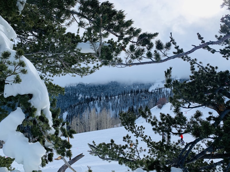 Planning a Park City Ski Trip: Budget Tips for Families