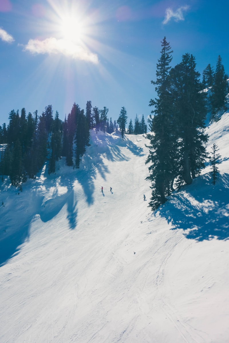 Skiing Alta and Snowbird with Kids: A Complete Guide