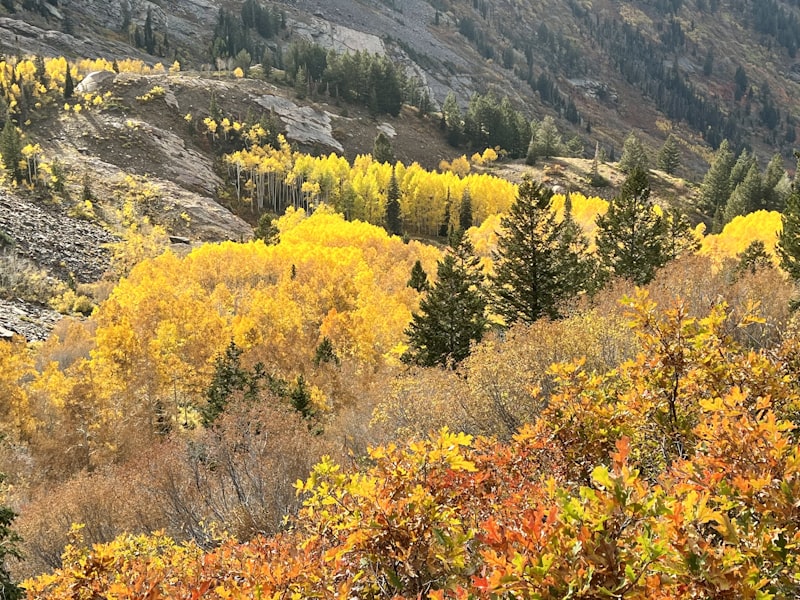 The Best Family Hiking Trails in Park City: From Stroller Friendly to Legit Adventure