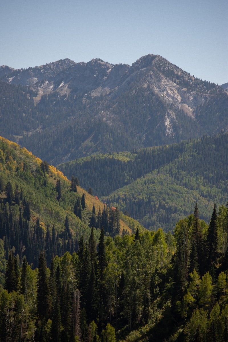 Summer in Park City: 25 Things to Do with Kids When the Snow Melts