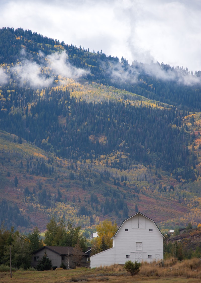 Park City with Kids: The Ultimate Family Guide to Utah's Mountain Playground
