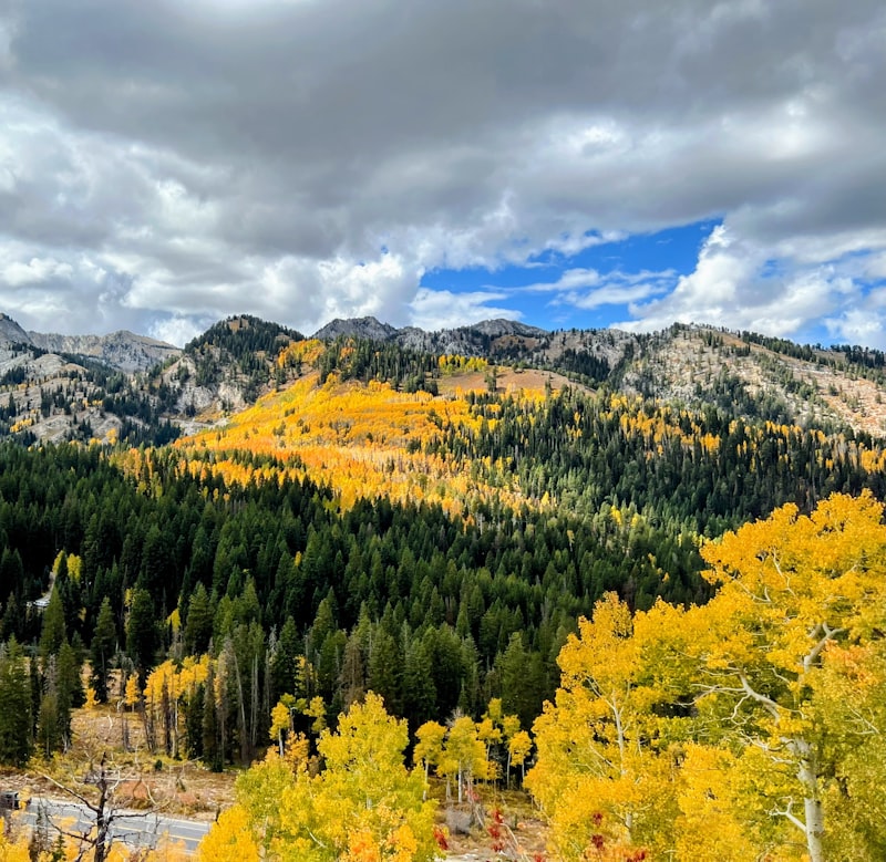 Fall in Park City with Kids: Leaf Peeping, Festivals, and Flannel Season